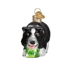 Old World Christmas Herding Border Collie Ornament