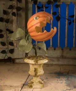 Bethany Lowe Prickly Pumpkin Plant