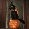 Bethany Lowe Black Cat Witch On Jack O'Lantern