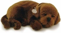 TheHolidayBarn.com New! Breathing Chocolate Lab Puppy