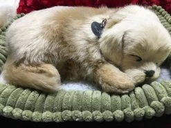 TheHolidayBarn.com New! Breathing Golden Retriever Puppy
