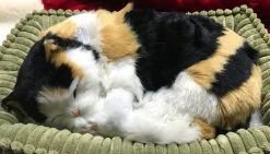 TheHolidayBarn.com Breathing Calico Kitten New!