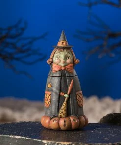 Bethany Lowe Hanna Hocus Pocus Witch Jar New!