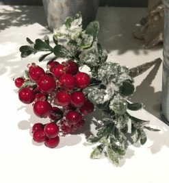 Winward Iced Berry Pick