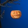 Bethany Lowe Jack-O'-Lantern Votive Holder