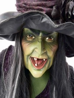 Katherine's Collection Haunted Witch Wall Piece New!