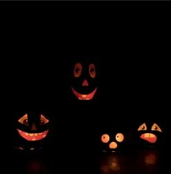 Bethany Lowe Jolly Jack Squash Luminary New! 7 Bethany Lowe Jolly Jack Squash Luminary New!