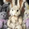 New! Charlie Bears Parsley Rabbit