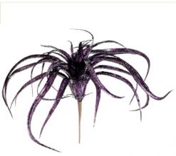 TheHolidayBarn.com Wicked Witch Purple Tillandsia Stem Halloween