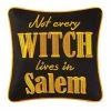 TheHolidayBarn.com New! Salem Witch Pillow