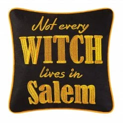TheHolidayBarn.com New! Salem Witch Pillow