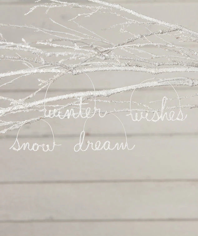 Bethany Lowe New! Winter Cursive Wire Word Ornaments 3 Bethany Lowe New! Winter Cursive Wire Word Ornaments